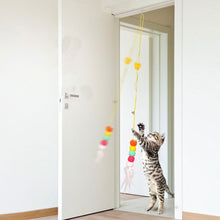 Load image into Gallery viewer, Adjustable Hanging Cat Toy