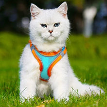 Load image into Gallery viewer, Pet Chest Harness