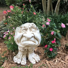 Load image into Gallery viewer, Funny Expression Flowerpot