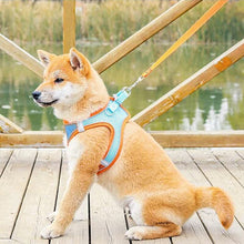 Load image into Gallery viewer, Pet Chest Harness