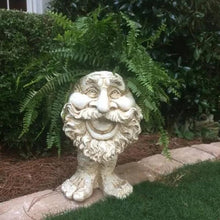 Load image into Gallery viewer, Funny Expression Flowerpot