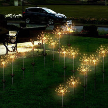 Load image into Gallery viewer, Dandelion Solar Ground Plug Light