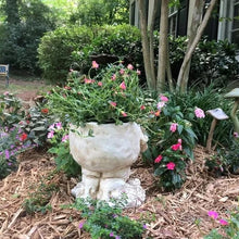 Load image into Gallery viewer, Funny Expression Flowerpot