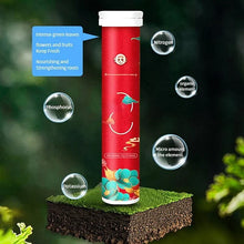 Load image into Gallery viewer, Slow Release Garden Universal Fertilizer Tablets