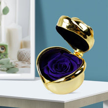 Load image into Gallery viewer, Preserved Flower Rose
