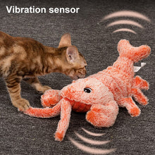 Load image into Gallery viewer, Interactive Cat And Dog Toy