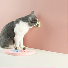 Load image into Gallery viewer, Catnip Wall Ball Edible Cat Toys