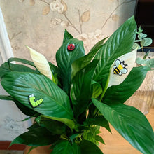 Load image into Gallery viewer, Cute Plant Magnetic Decor (6 Pcs/Set)