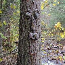 Load image into Gallery viewer, Outdoor Tree Face Decoration