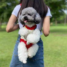 Load image into Gallery viewer, Pet Travel Leg-out Backpack