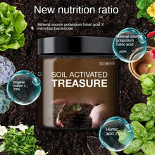 Load image into Gallery viewer, Soil Activated Treasure