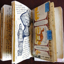 Load image into Gallery viewer, 🔮📜The Grail Diary📜🔮