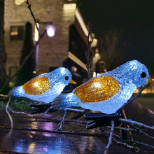 Load image into Gallery viewer, Ground Bird Decorative Lamp