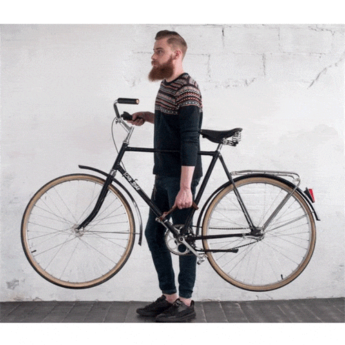 Bicycle Frame Handle - The 