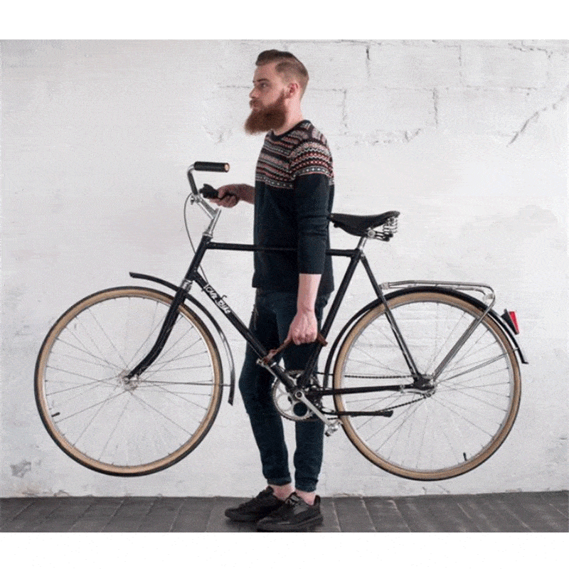 Bicycle Frame Handle - The 