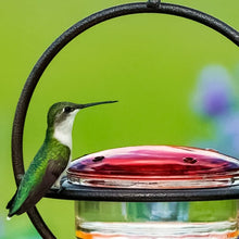 Load image into Gallery viewer, Hummble Slim Hummingbird Feeder