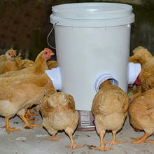 Load image into Gallery viewer, Feeding Kit Special Tools For Breeding Chickens Ducks Poultry Accessories