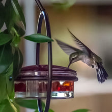 Load image into Gallery viewer, Hummble Slim Hummingbird Feeder