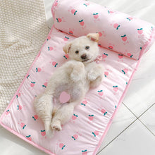 Load image into Gallery viewer, ✨Ice Silk Cooling Mat for Dogs &amp; Cats✨