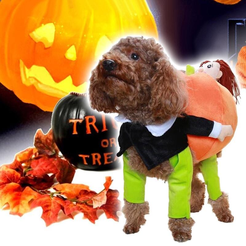 🎃Pet Dog Pumpkin Halloween Costume🎃