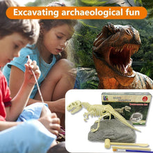 Load image into Gallery viewer, 🦖Dinosaur fossil excavation paleontology toy set