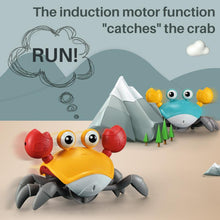 Load image into Gallery viewer, 🦀🦀Crawling Crab Toy for Kids