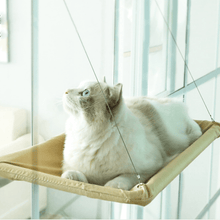 Load image into Gallery viewer, The Kitty Indoor Hammock
