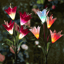 Load image into Gallery viewer, Solar Powered LED Flower Stake Set