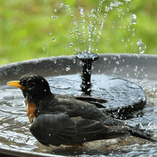 Load image into Gallery viewer, Solar Powered Water Fountain