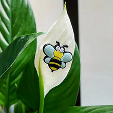 Load image into Gallery viewer, Cute Plant Magnetic Decor (6 Pcs/Set)