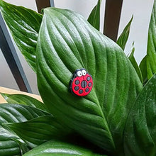 Load image into Gallery viewer, Cute Plant Magnetic Decor (6 Pcs/Set)