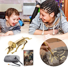 Load image into Gallery viewer, 🦖Dinosaur fossil excavation paleontology toy set