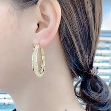 Load image into Gallery viewer, Fashion Oval Earrings
