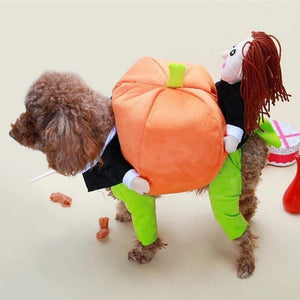 🎃Pet Dog Pumpkin Halloween Costume🎃
