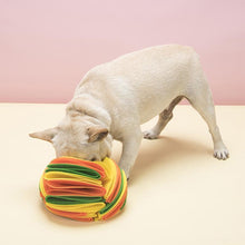 Load image into Gallery viewer, Foldable Dog Snuff Ball Dog Training Toy