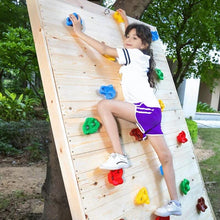 Load image into Gallery viewer, Kids Backyard Rock Climbing Kit