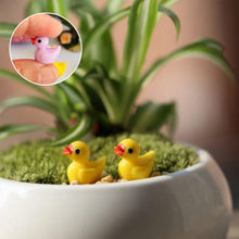 Load image into Gallery viewer, 🦆Tiny Ducks | Challenge Hiding Ducks