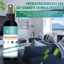 Load image into Gallery viewer, Household Mold Remover