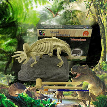Load image into Gallery viewer, 🦖Dinosaur fossil excavation paleontology toy set