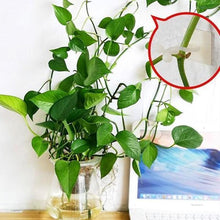 Load image into Gallery viewer, Plant Climbing Wall Clip