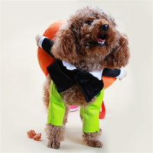 Load image into Gallery viewer, 🎃Pet Dog Pumpkin Halloween Costume🎃