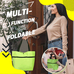 2 In 1 Foldable Shopping Cart