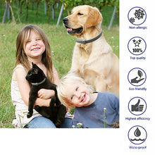 Load image into Gallery viewer, Pet Deworming Collar