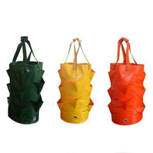 Load image into Gallery viewer, Strawberry Planting Grow Bag