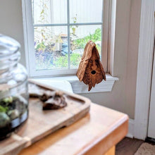 Load image into Gallery viewer, 🐦Unique Bird House