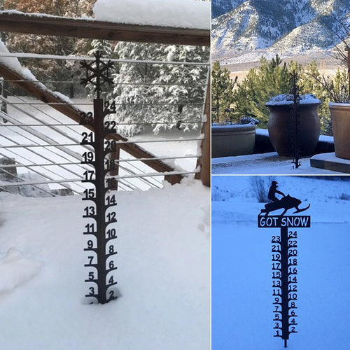 Snowflake/Snowmobile 24