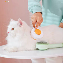 Load image into Gallery viewer, 2-in-1 cleansing pet hair removal brush