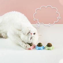 Load image into Gallery viewer, Catnip Wall Ball Edible Cat Toys