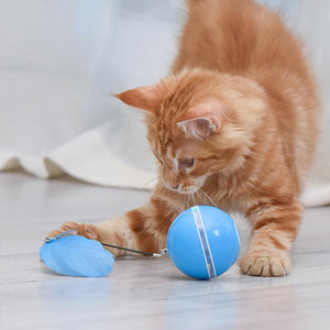 (🌲Christmas sale-48% OFF) Laser Ball Toy for Cat🎉
