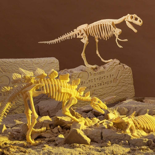 🦖Dinosaur fossil excavation paleontology toy set